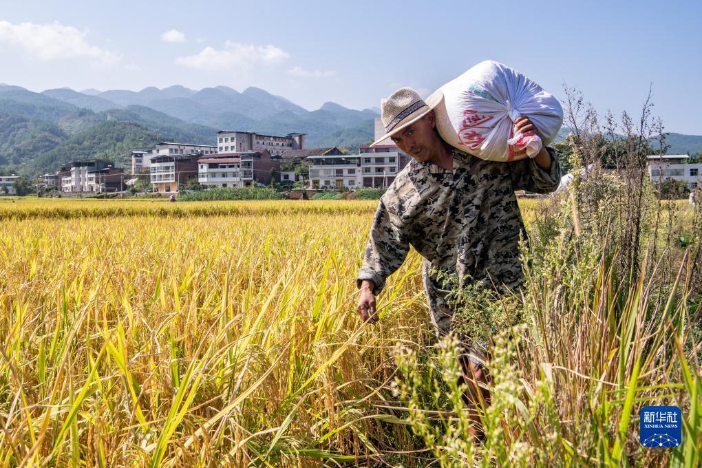 十大ag平台